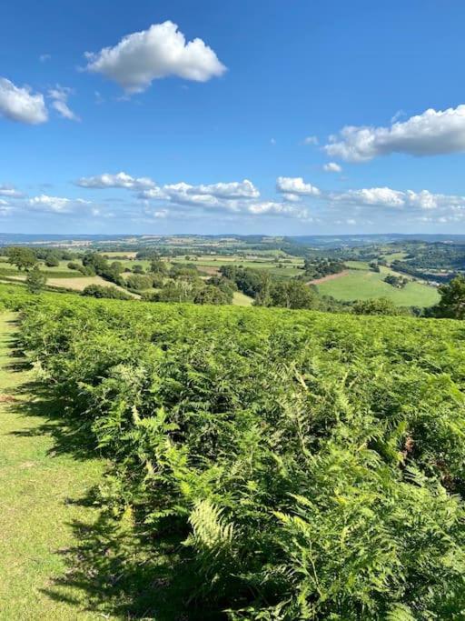 The Mill Stylish Rural Apartment With Beautiful Views Welsh Newton Common ภายนอก รูปภาพ
