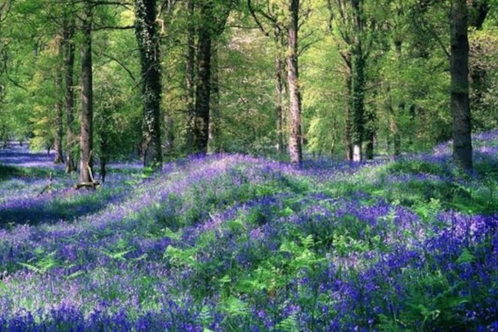 The Mill Stylish Rural Apartment With Beautiful Views Welsh Newton Common ภายนอก รูปภาพ