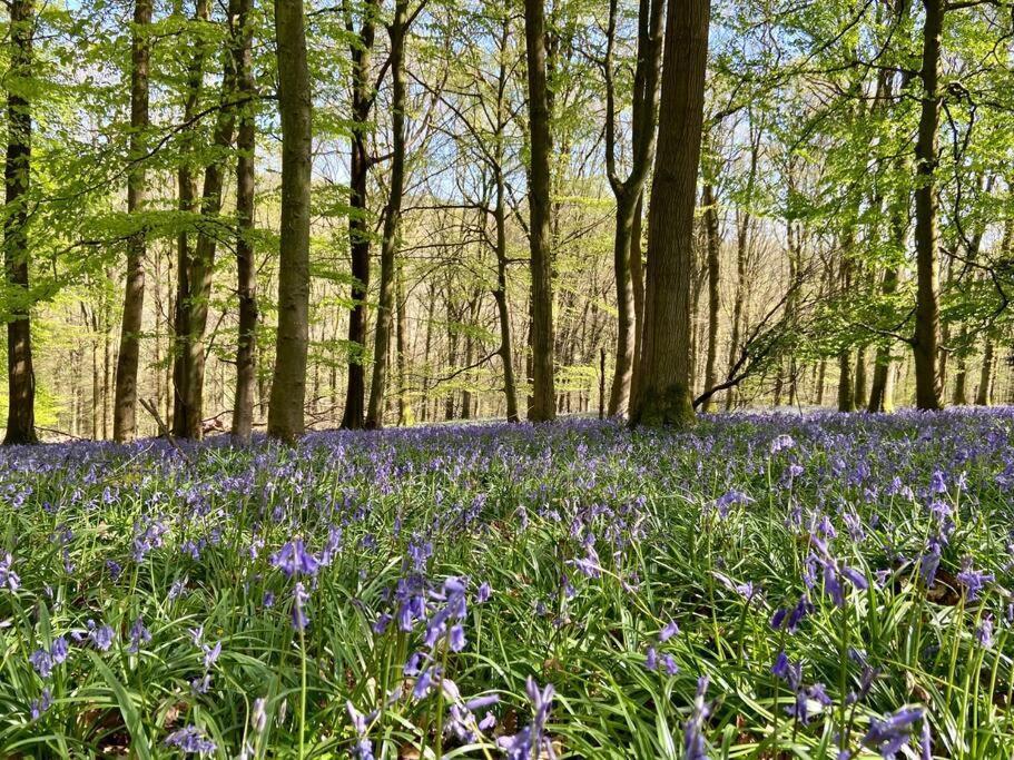 The Mill Stylish Rural Apartment With Beautiful Views Welsh Newton Common ภายนอก รูปภาพ
