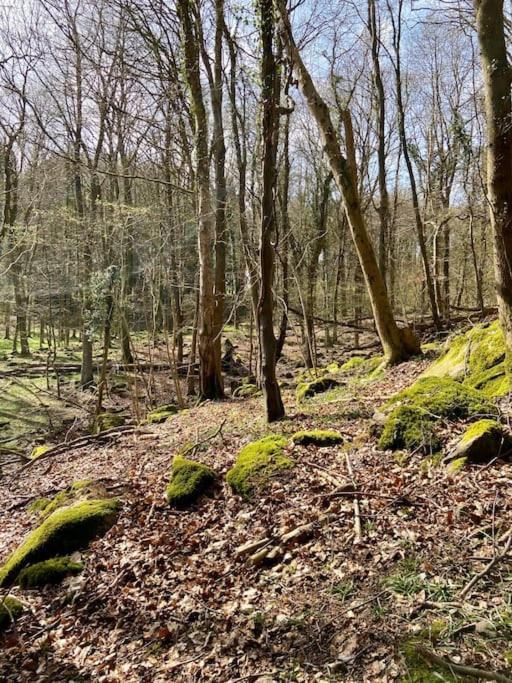 The Mill Stylish Rural Apartment With Beautiful Views Welsh Newton Common ภายนอก รูปภาพ