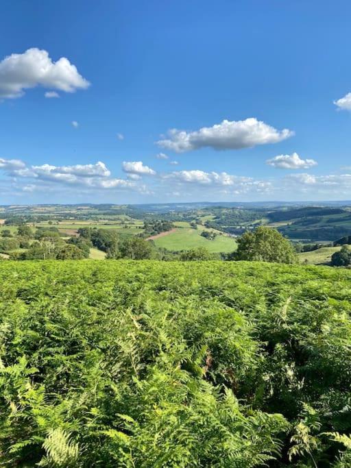 The Mill Stylish Rural Apartment With Beautiful Views Welsh Newton Common ภายนอก รูปภาพ